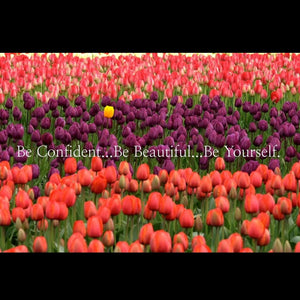 What You Do Is Not Who You Are